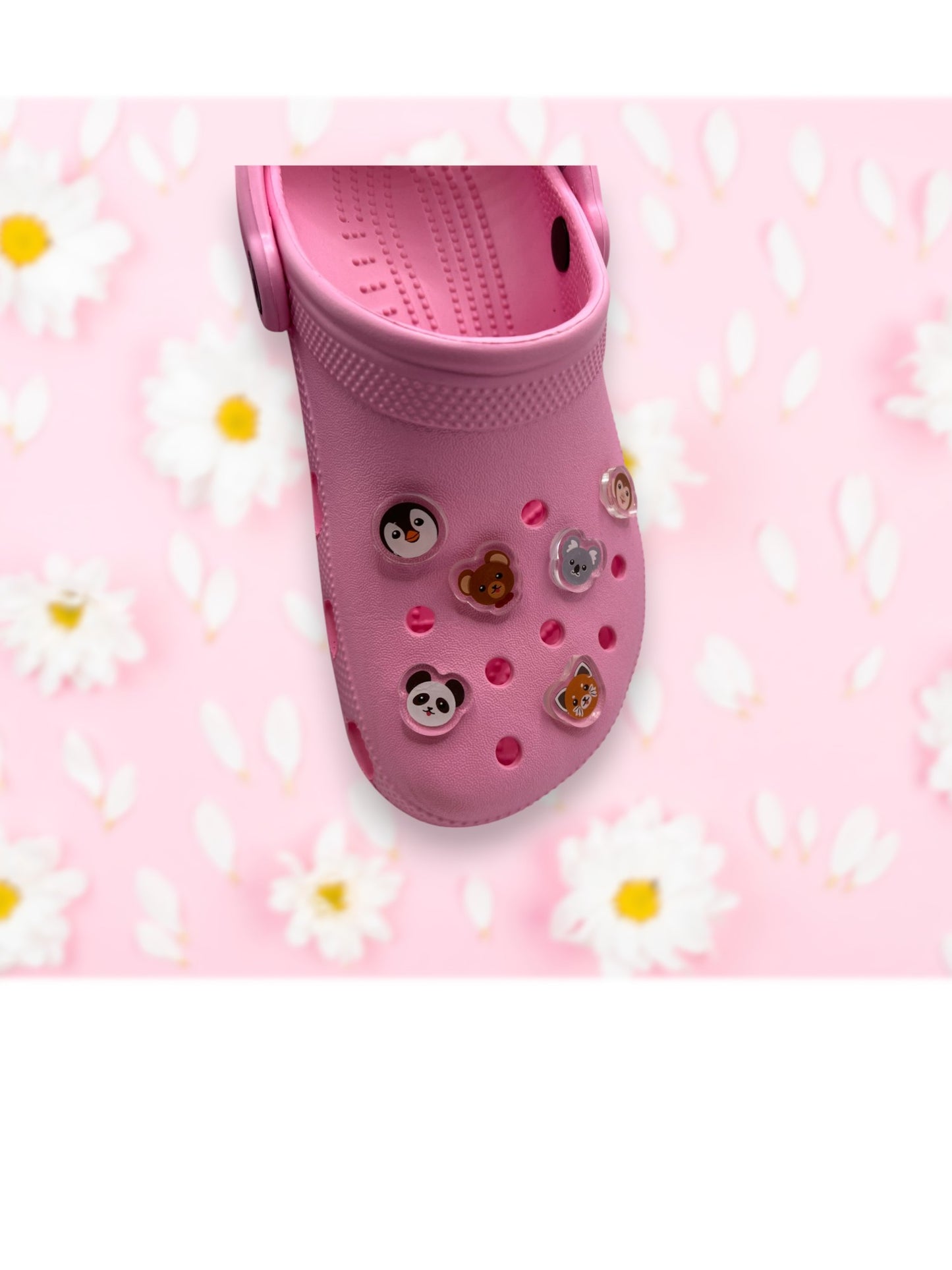 Koala Shoe Charm
