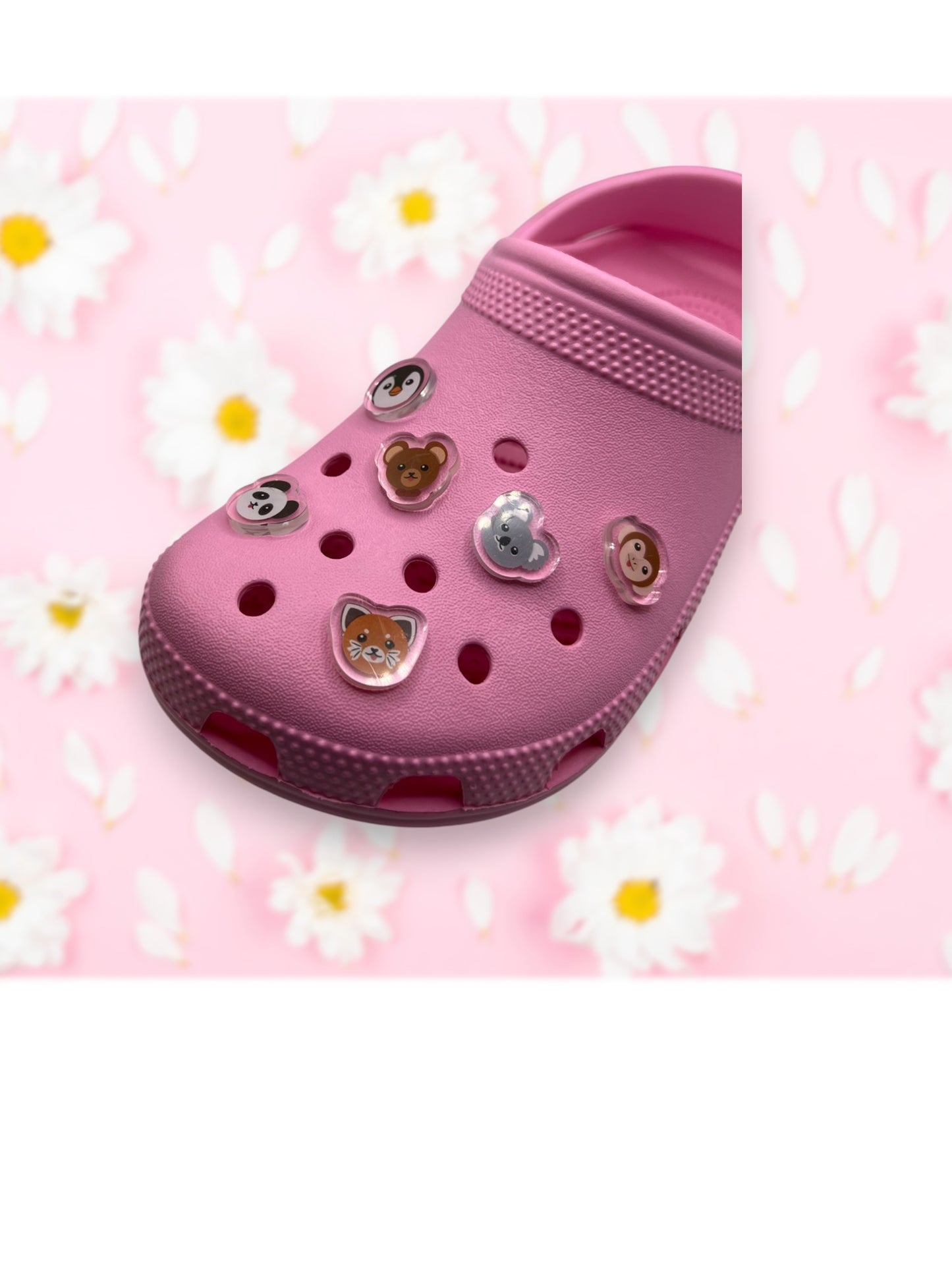 Koala Shoe Charm
